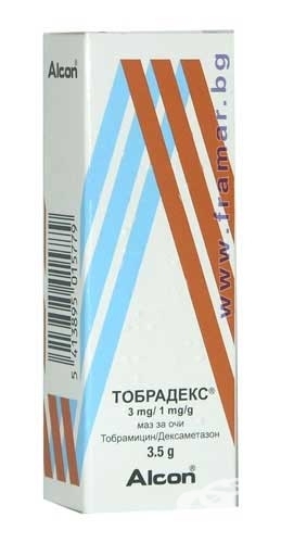 Папилломы на яйцах у мужчин